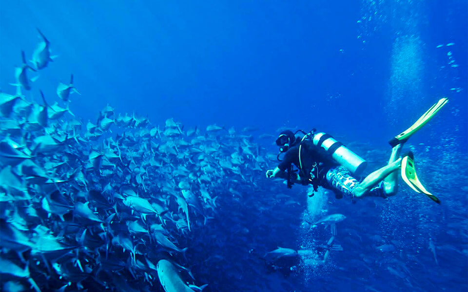 Convención CONTPAQi