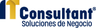 IT Consultant