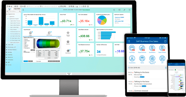 SAP Business One
